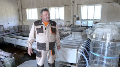 17 мільйонів ікринок на рік в інкубаторі: як на Черкащині працює риборозплідник в умовах відключень світла 17 мільйонів ікринок на рік в інкубаторі: як на Черкащині працює риборозплідник в умовах відключень світла