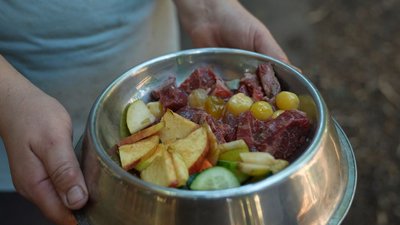 "Грайливі, але боязкі": у зоопарку Черкас народилася трійня жовтих мангуст "Грайливі, але боязкі": у зоопарку Черкас народилася трійня жовтих мангуст