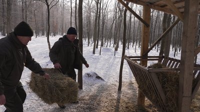 Годівля тварин Годівля тварин