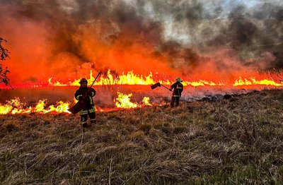 Пожежі в екосистемах: на Черкащині за добу вигоріло понад 35 гектарів Пожежі в екосистемах: на Черкащині за добу вигоріло понад 35 гектарів