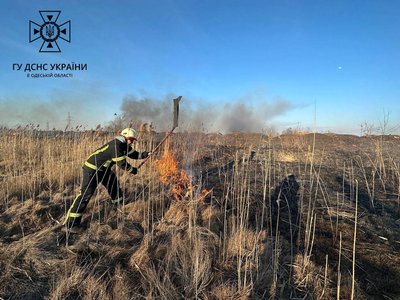 Вогонь на території 5000 м2: в Одесі горить суха трава на полях зрошення Вогонь на території 5000 м2: в Одесі горить суха трава на полях зрошення