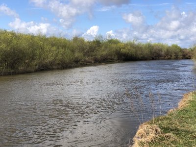 Тіло трирічного хлопчика виявили у водоймі на Рівненщині. Ще одну дитину розшукують Тіло трирічного хлопчика виявили у водоймі на Рівненщині. Ще одну дитину розшукують