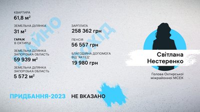 Що задекларували голови МСЕК на Сумщині Що задекларували голови МСЕК на Сумщині