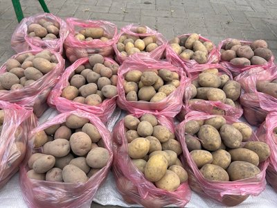 Ціни на картоплю у Житомирі: яка вартість овоча на Житньому ринку