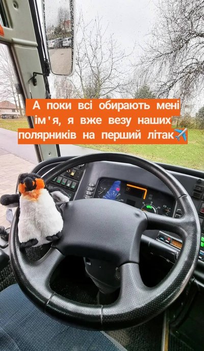 "Чорнобривчик": житомирянка перемогла у конкурсі на краще ім'я для талісмана антарктичної експедиції "Чорнобривчик": житомирянка перемогла у конкурсі на краще ім'я для талісмана антарктичної експедиції