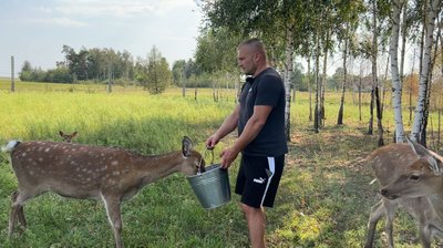 “Без кліток”: як живуть тварини на оленячій фермі на Рівненщині “Без кліток”: як живуть тварини на оленячій фермі на Рівненщині
