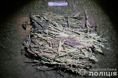На Вінниччині затримали чоловіка, якого підозрюють у консервуванні канабісу На Вінниччині затримали чоловіка, якого підозрюють у консервуванні канабісу