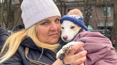 Мурашка, Умка та інші: у Миколаєві шукали господарів для собак Мурашка, Умка та інші: у Миколаєві шукали господарів для собак