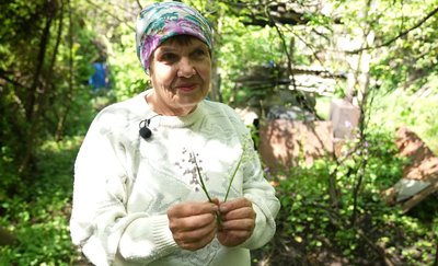 Екзотичний ліс: подружжя на Черкащині вирощує незвичні для регіону рослини Екзотичний ліс: подружжя на Черкащині вирощує незвичні для регіону рослини