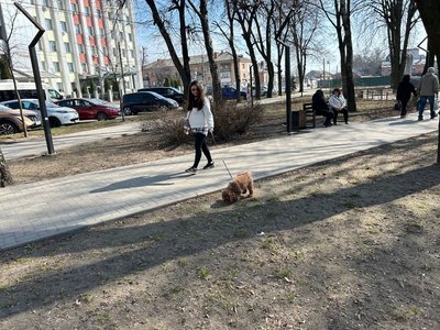 Як діяти при укусі кліща: рекомендації лікарки з Житомира Як діяти при укусі кліща: рекомендації лікарки з Житомира