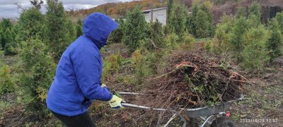 У Житомирі переселенці з Херсонщини долучилися до "ЕкоТолоки"