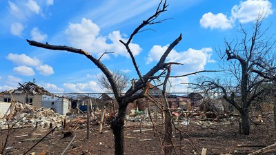 Дерева посічені внаслідок обстрілу Іллінівка Краматорський район Донецька область 14 квітня 2025 рік Дерева посічені внаслідок обстрілу Іллінівка Краматорський район Донецька область 14 квітня 2025 рік