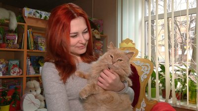 "Прийшла сюди сама 11 років тому": у Хмельницькому живе кішка-бібліотекарка "Прийшла сюди сама 11 років тому": у Хмельницькому живе кішка-бібліотекарка