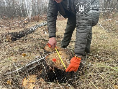 На Житомирщині виявили незаконну вирубку дерев: збитки оцінено в пів мільйона гривень На Житомирщині виявили незаконну вирубку дерев: збитки оцінено в пів мільйона гривень