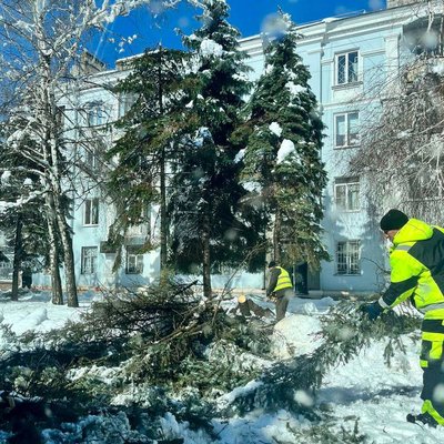 Такого не було й взимку. На Донеччині снігові замети, повалені дерева та відсутнє світло Такого не було й взимку. На Донеччині снігові замети, повалені дерева та відсутнє світло