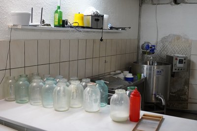 На Миколаївщині виготовляють крафтові козячі сири: як працює сироварня