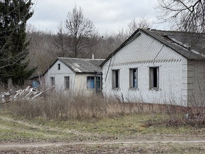"До третини лісу доступу немає": як працюють у прикордонному лісництві на Сумщині