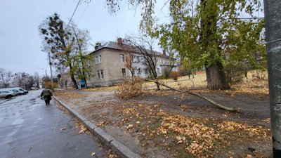 У чотирьох районах Харкова внаслідок негоди повалені понад десяти дерев – міська рада У чотирьох районах Харкова внаслідок негоди повалені понад десяти дерев – міська рада
