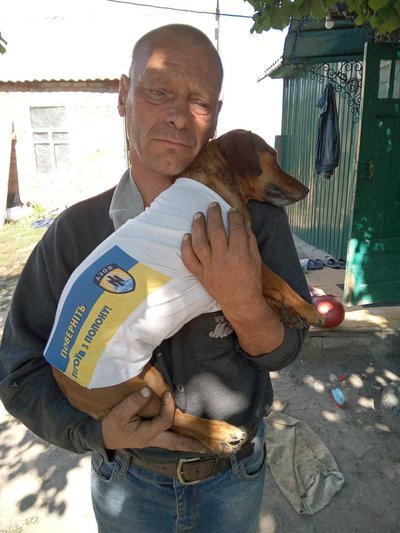 “Кулі в ньому залишились”: партизан із Кам'янки просить знайти й покарати вбивцю свого пса Тобіуса “Кулі в ньому залишились”: партизан із Кам'янки просить знайти й покарати вбивцю свого пса Тобіуса