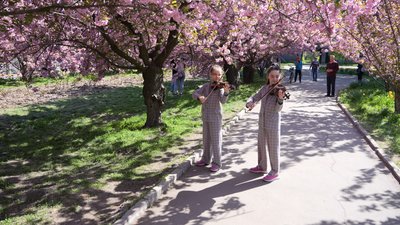 "Вночі вибухи, а тут приходиш і відключаєшся від цього всього". На території одного з вишів Дніпра розквітла алея сакур "Вночі вибухи, а тут приходиш і відключаєшся від цього всього". На території одного з вишів Дніпра розквітла алея сакур