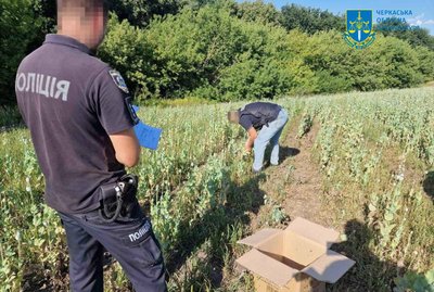 Незаконно вирощував мак: на Черкащині судитимуть директора товариства Незаконно вирощував мак: на Черкащині судитимуть директора товариства