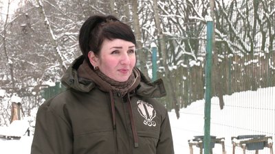 Частину перевели до теплих вольєрів: як зимують тварини у рівненському зоопарку Частину перевели до теплих вольєрів: як зимують тварини у рівненському зоопарку