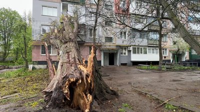 Буревій у Кропивницькому: дерева падають на дороги, тротуари та будинки Буревій у Кропивницькому: дерева падають на дороги, тротуари та будинки
