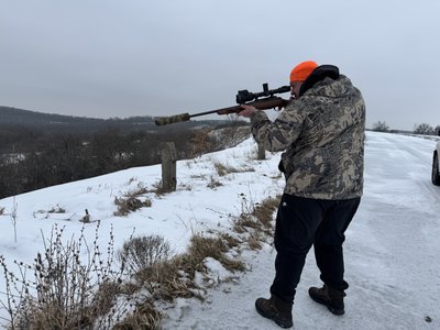 Контроль за популяцією хижаків та захист від сказу: як на Полтавщині регулюють чисельність лисиць Контроль за популяцією хижаків та захист від сказу: як на Полтавщині регулюють чисельність лисиць