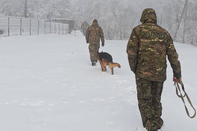 Працівники поліції, які розшукують зниклу дівчинку з Буковини Юлію Волощук Працівники поліції, які розшукують зниклу дівчинку з Буковини Юлію Волощук