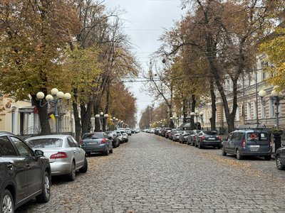 Світлові кулі й зірки на деревах: у Полтаві почали встановлення новорічної ілюмінації Світлові кулі й зірки на деревах: у Полтаві почали встановлення новорічної ілюмінації