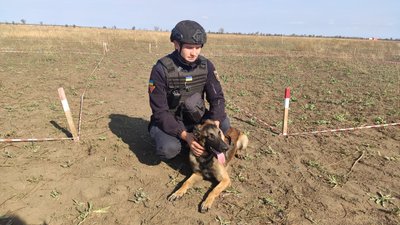 Фотоісторії Миколаївської області: як минув тиждень у регіоні Фотоісторії Миколаївської області: як минув тиждень у регіоні