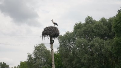 "“Градами” накривали, дрон висів над комбайном": як працюють фермери на кордоні з РФ "“Градами” накривали, дрон висів над комбайном": як працюють фермери на кордоні з РФ