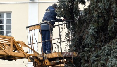 У Луцьку прикрашають ялинкове тріо до різдвяно-новорічних свят: скільки грошей витратять з бюджету У Луцьку прикрашають ялинкове тріо до різдвяно-новорічних свят: скільки грошей витратять з бюджету