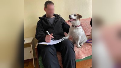 "Собака не тільки має охороняти, а й може працювати в реабілітації": як чотирилапа Берта допомагає дітям і ветеранам "Собака не тільки має охороняти, а й може працювати в реабілітації": як чотирилапа Берта допомагає дітям і ветеранам