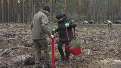 "Буде згадка про нього": в пам'ять про загиблих воїнів-лісівників висадили "Ліс пам'яті" на Рівненщині "Буде згадка про нього": в пам'ять про загиблих воїнів-лісівників висадили "Ліс пам'яті" на Рівненщині