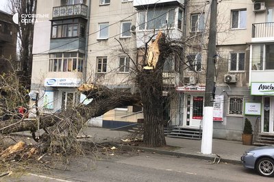 Наслідки негоди в Одесі: через падіння дерева зупинили рух двох трамваїв та тролейбуса