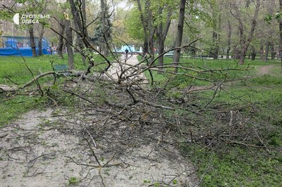 В Одесі через сильний вітер фіксують повалені дерева, діє штормове попередження