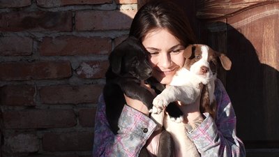 У притулку в Знам'янці на Кіровоградщині прихистили 37 собак із зони бойових дій У притулку в Знам'янці на Кіровоградщині прихистили 37 собак із зони бойових дій