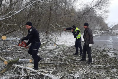 повалені дерева, дерева впали на дорогу повалені дерева, дерева впали на дорогу