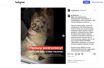 Собак отруїли Собак отруїли