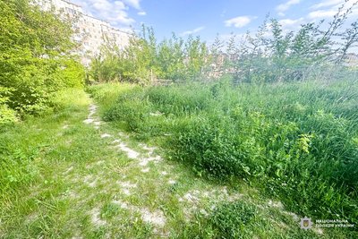Добровільно передав поліції: чоловік знайшов гранату у Рівному Добровільно передав поліції: чоловік знайшов гранату у Рівному