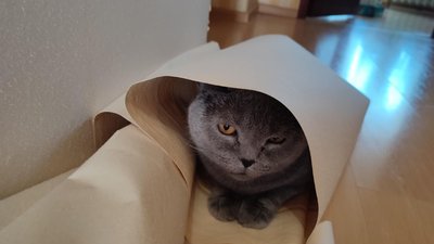житло для ВПО житло для ВПО