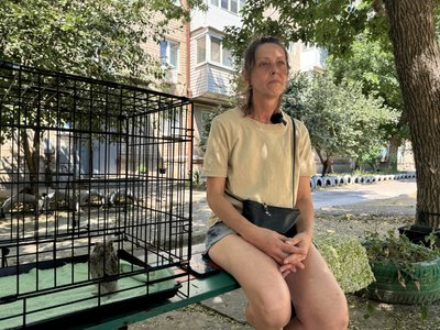 Херсонці врятували совеня