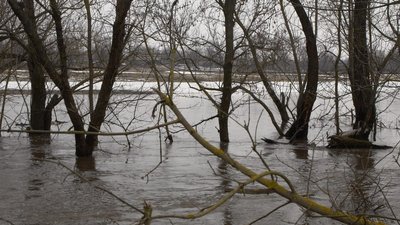 Потрібно об'їжджати 60 кілометрів. На Кіровоградщині затопило міст на річці Інгул між двома селами Потрібно об'їжджати 60 кілометрів. На Кіровоградщині затопило міст на річці Інгул між двома селами