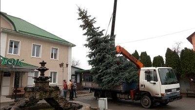 На Черкащині подружжя подарувало місту ялинку до різдвяних та новорічних свят
