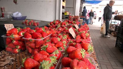 На 70-80% дорожча: скільки коштує полуниця в Черкасах та чому зросли ціни На 70-80% дорожча: скільки коштує полуниця в Черкасах та чому зросли ціни