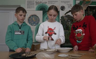 екогодівниці для птахів, тернопіль, екоцентр екогодівниці для птахів, тернопіль, екоцентр