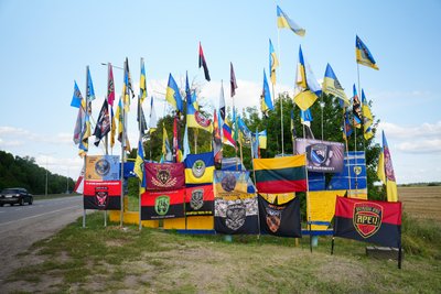 стела суми