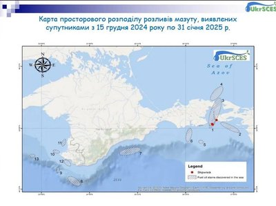 Екоцид у Чорному морі: мазут із Керченської протоки досяг Одещини, постраждали сотні птахів і китоподібних Екоцид у Чорному морі: мазут із Керченської протоки досяг Одещини, постраждали сотні птахів і китоподібних