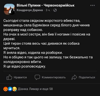 У громаді на Житомирщині чоловік вбив та повісив собаку на очах у дітей